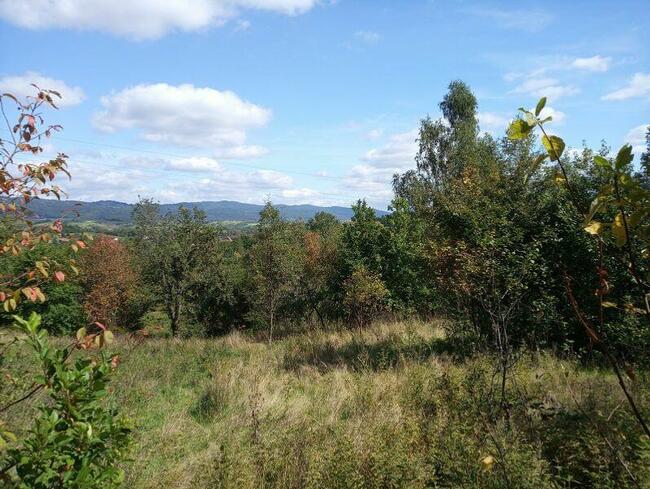 Duża i w dobrej cenie działka budowlana w Rychwałdzie.