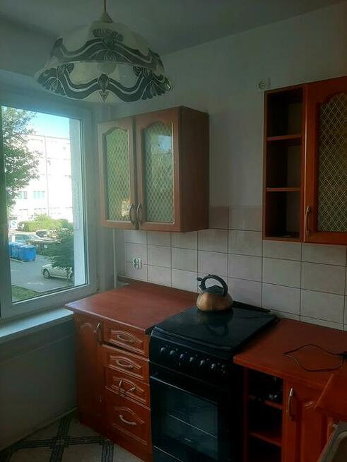 Wynajmę mieszkanie Grudziądz oś.Kopernika