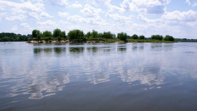 działka budowlana 1,59ha k/Zakroczymia i Nowego Dworu Maz.