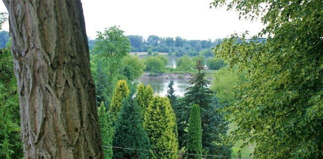 działka budowlana 1,59ha k/Zakroczymia i Nowego Dworu Maz.