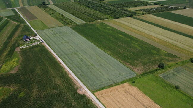 Działka Budowlana Tarnobrzeg Wielowieś ul. Hutnicza 13 ar