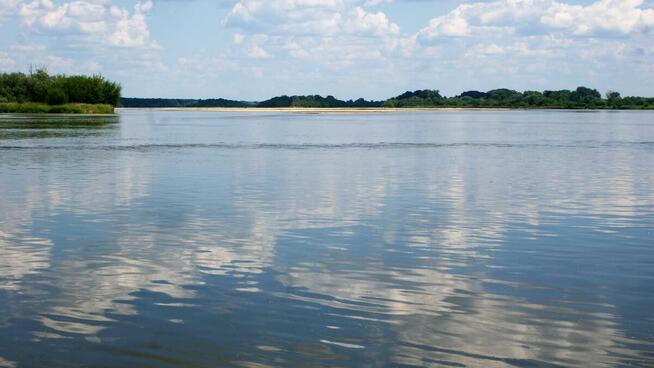 działka budowlana 1,59ha k/Zakroczymia i Nowego Dworu Maz.