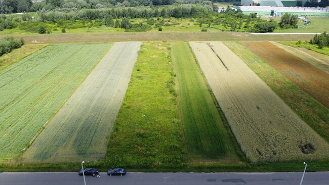 Działka rolno budowlana Sandomierz ul Zarzekowice 39 ar