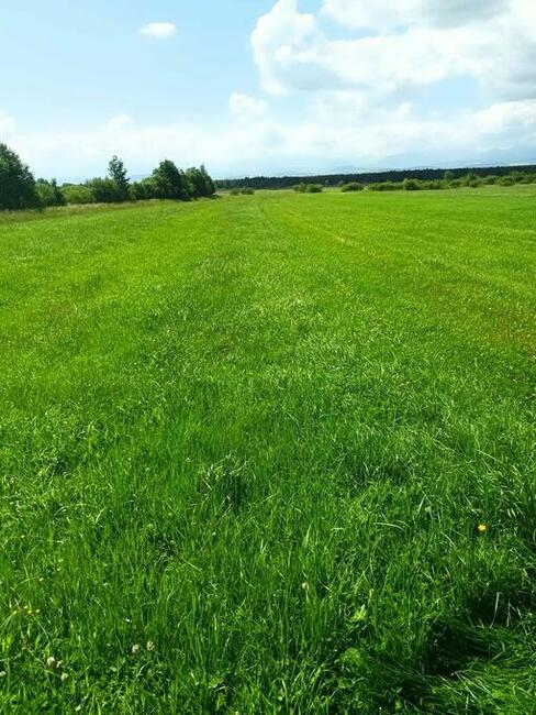 DZIALKI.ROLNE ZAŁUCZNE