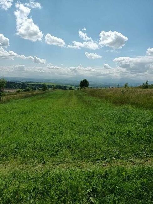 Działka budowlana Załuczne