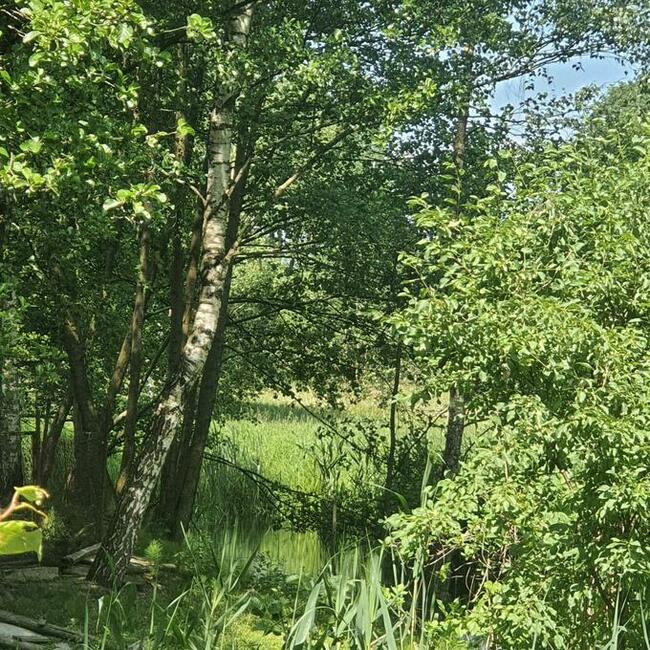 Działka 6759m2 z dostępem do rzeki okolice Bełchatowa