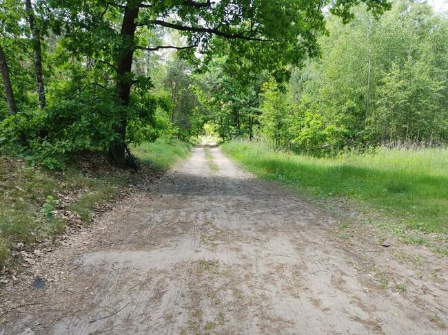 DZIAŁKA ROLNA PRZY KAMPINOWSKIM PARKU NARODOWYM : 1664 M 2