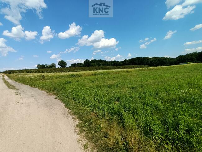 Działka rolna Kazimierz Dolny