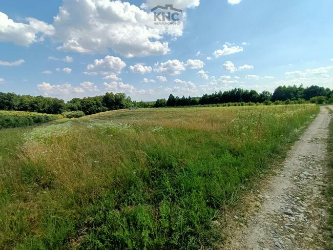 Działka rolna Kazimierz Dolny