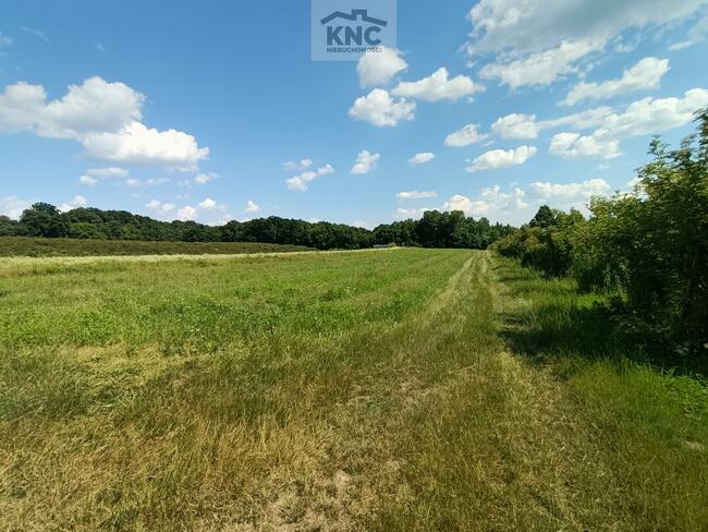 Działka rolna Kazimierz Dolny