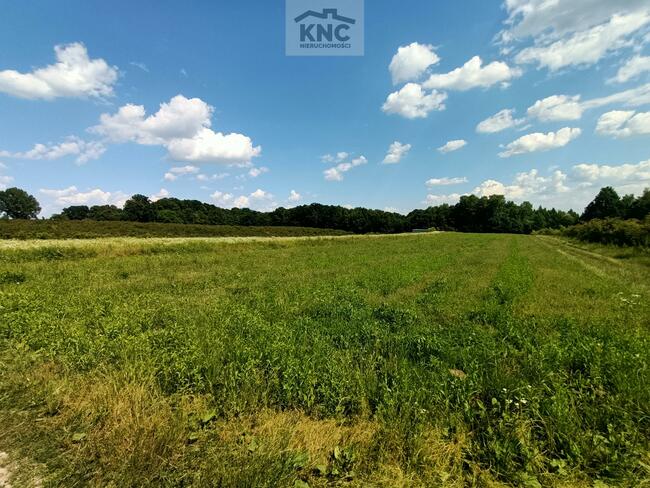 Działka rolna Kazimierz Dolny