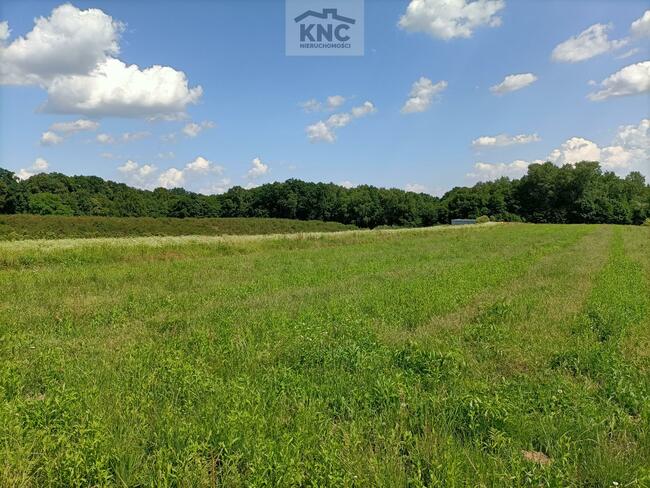 Działka rolna Kazimierz Dolny