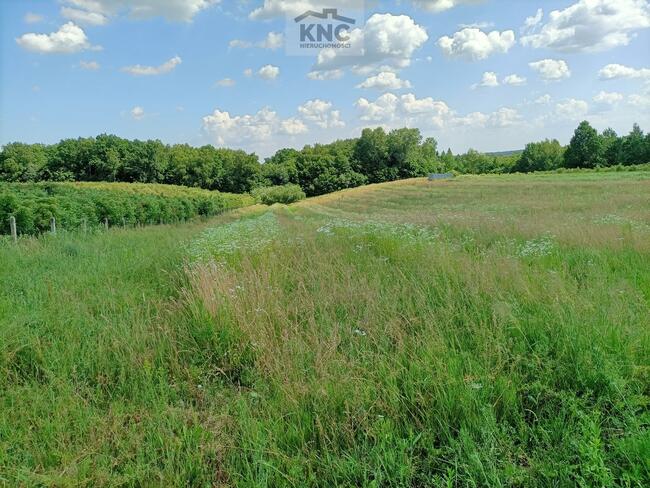 Działka rolna Kazimierz Dolny