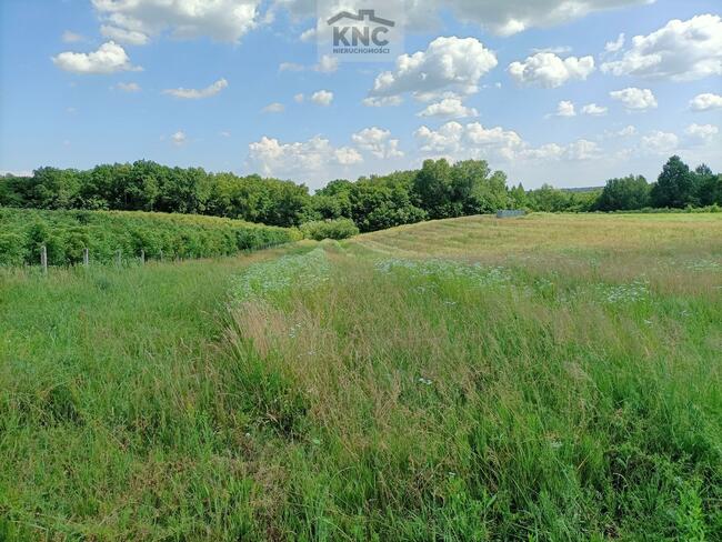 Działka rolna Kazimierz Dolny