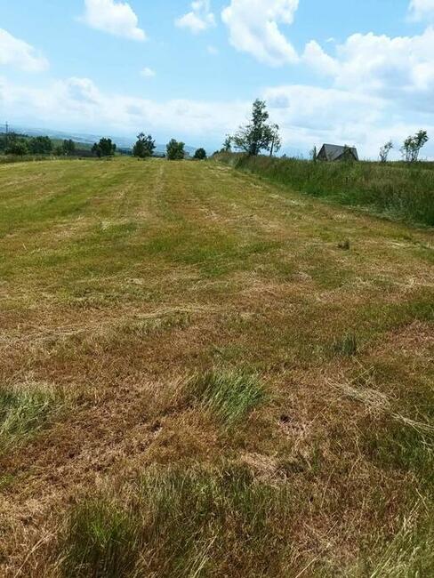 Działka rolna i budowlana Załuczne