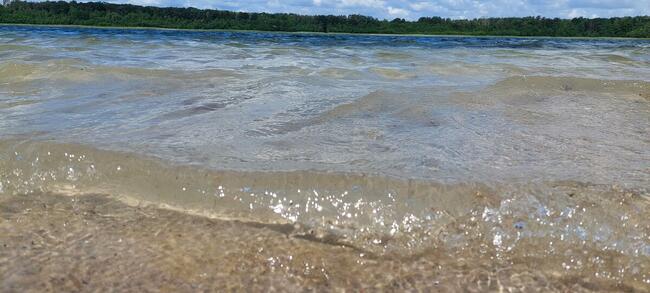 Domek letniskowy wynajmę (j. Głębokie / woj. Lubuskie)