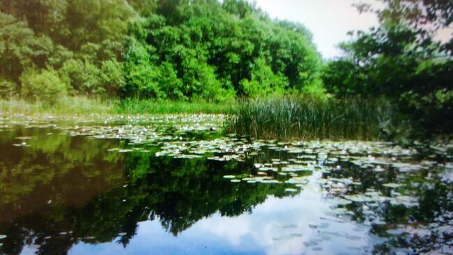 DOMEK LETNISKOWY NAD MORZEM w Lubiatowie