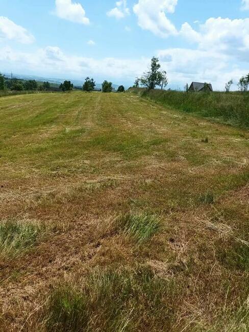 Działka rolna i budowlana Załuczne