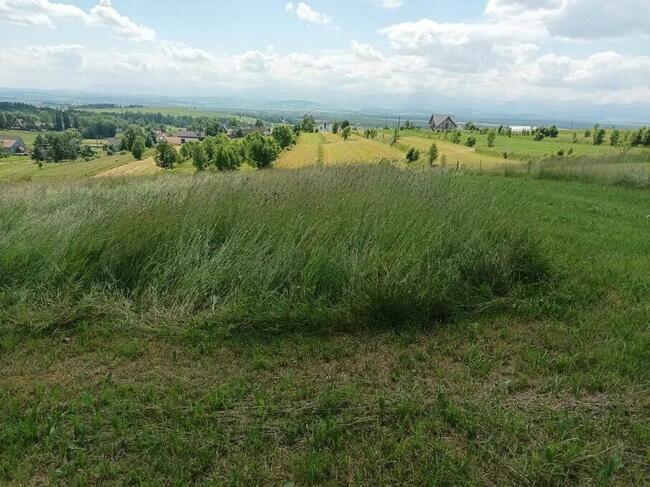 Działka budowlana Załuczne