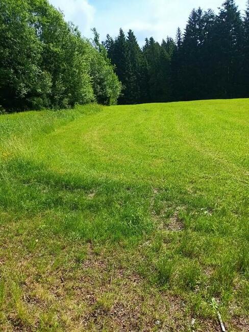 Działki rolne Załuczne