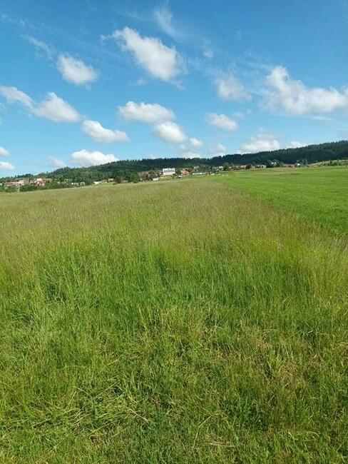 DZIAŁKI ROLNE ZAŁUCZNE