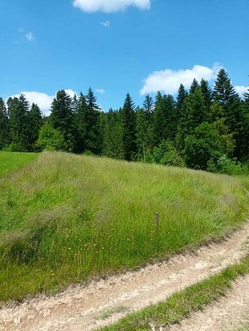 Działka rolna i budowlana Załuczne