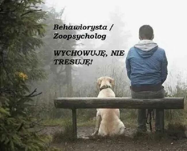 Behawiorysta / Zoopsycholog, konsultacje, szkolenie dla opie