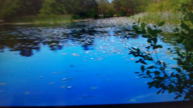 DOMEK LETNISKOWY NAD MORZEM w Lubiatowie