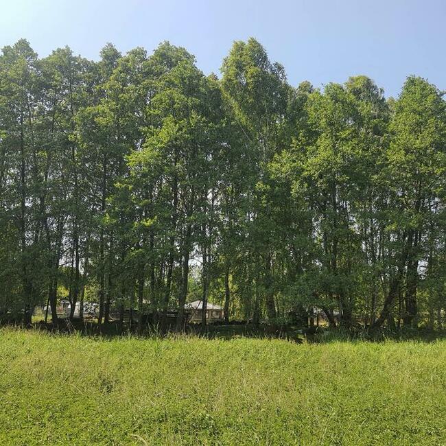 Działka 6759m2 z dostępem do rzeki okolice Bełchatowa