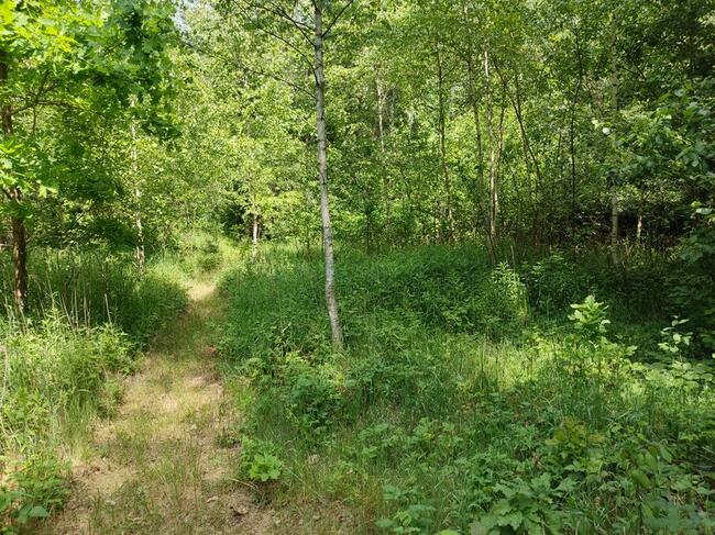 DZIAŁKA ROLNA PRZY KAMPINOWSKIM PARKU NARODOWYM : 1664 M 2