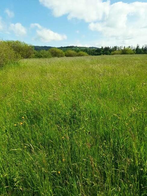 DZIAŁKI ROLNE ZAŁUCZNE