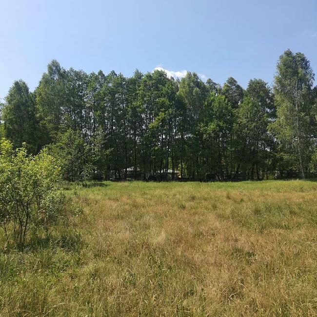 Działka 6759m2 z dostępem do rzeki okolice Bełchatowa