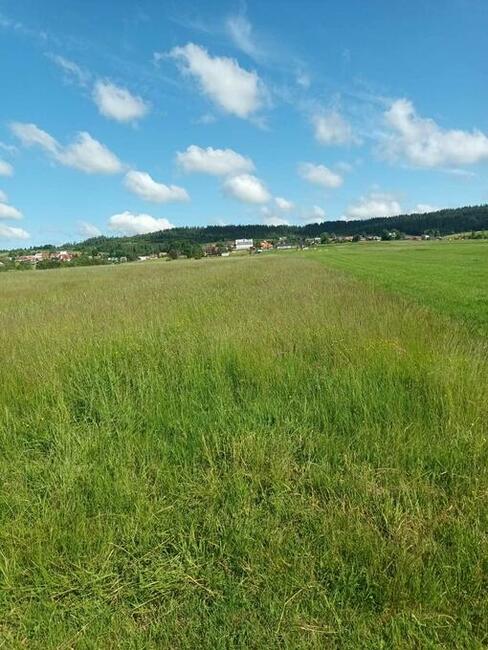 DZIALKI.ROLNE ZAŁUCZNE