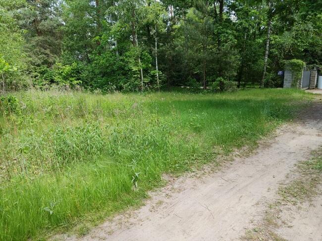 DZIAŁKA ROLNA PRZY KAMPINOWSKIM PARKU NARODOWYM : 1664 M 2