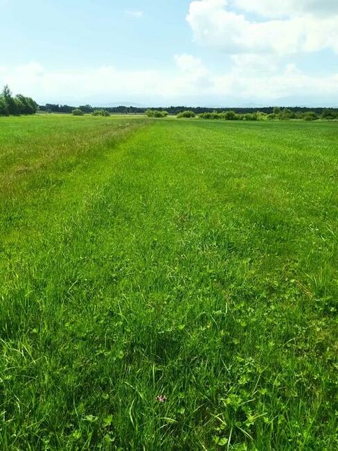 DZIAŁKI ROLNE ZAŁUCZNE