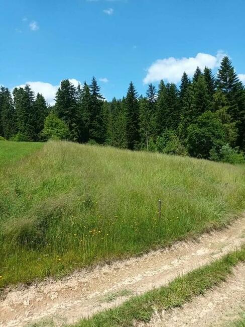Działka rolna i budowlana Załuczne