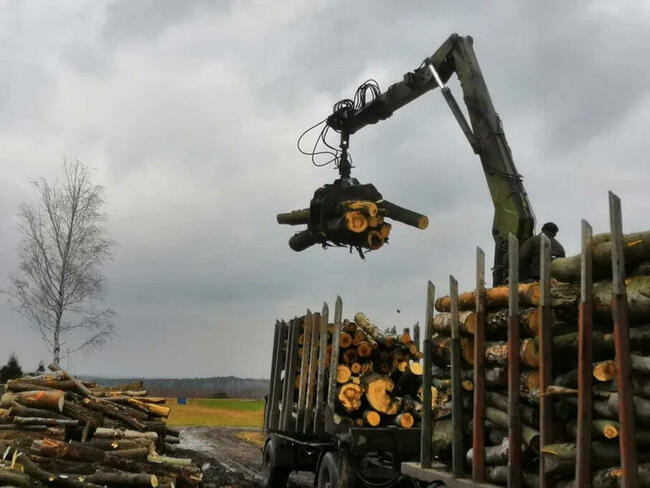 drewno kominkowe/opałowe