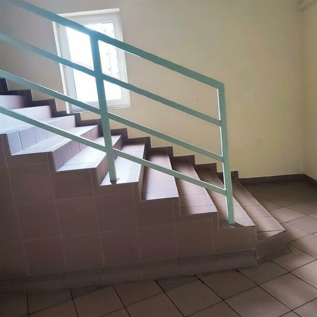 Lokal użytkowy Tychy P