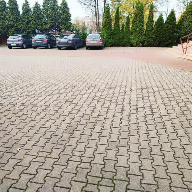 Lokal użytkowy Tychy P