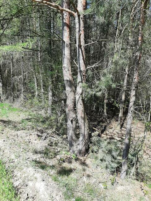 Działki budowlano-rekreacyjne pole