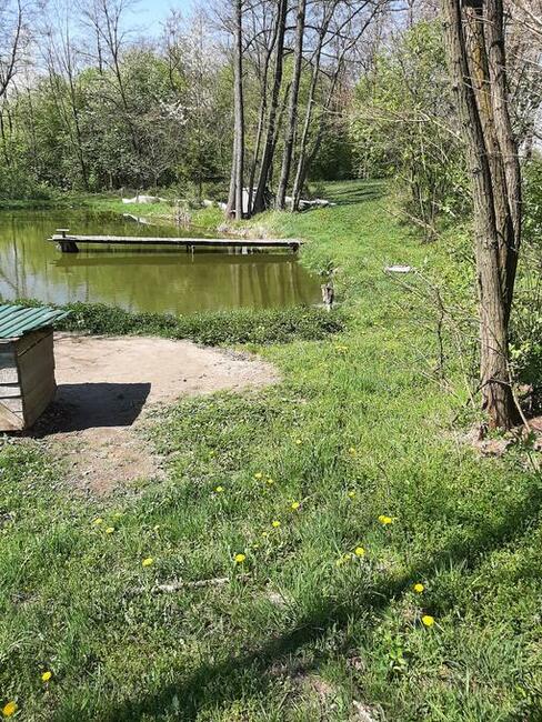 Działki budowlano-rekreacyjne pole