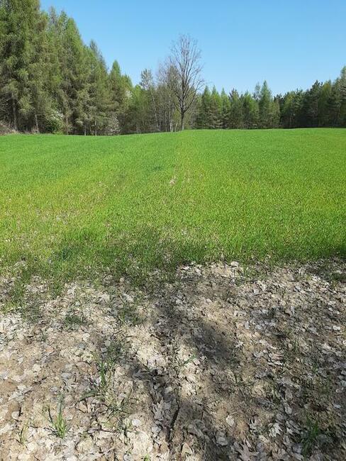 Działki budowlano-rekreacyjne pole