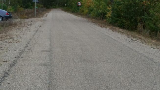 Puszcza Bialowieska , dzalka 23,2674