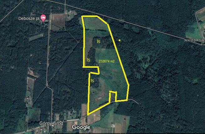 Puszcza Bialowieska , dzalka 23,2674