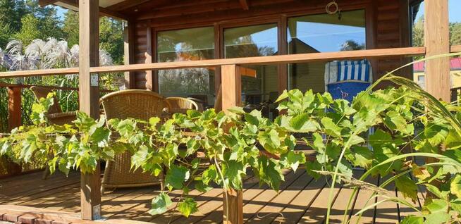 Wynajmę Domek Przy Stawie