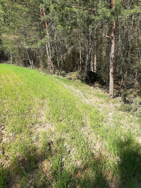 Działki budowlano-rekreacyjne pole