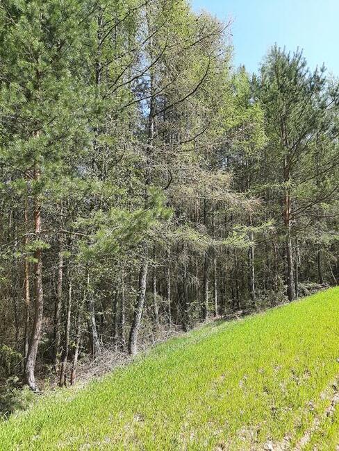 Działki budowlano-rekreacyjne pole