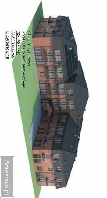 Puszcza Bialowieska , dzalka 23,2674