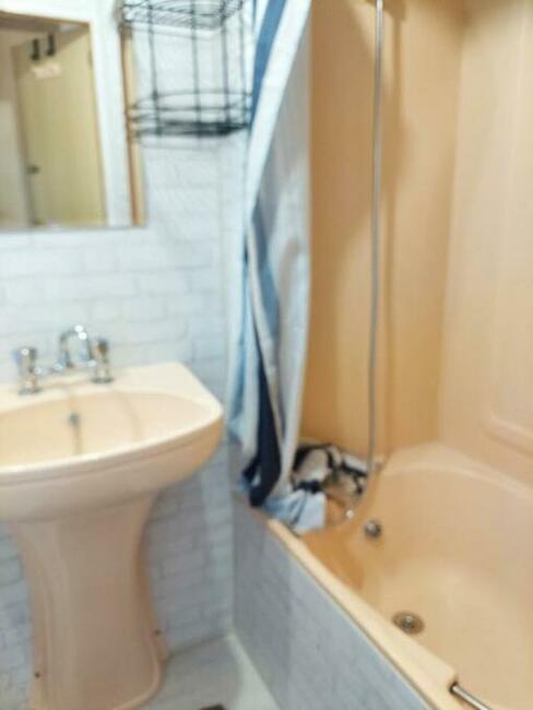 Wynajmę Domek Holender