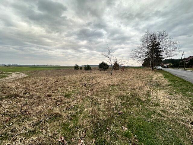 Działka budowlana, mieszkalno - usługowa, dojazd asfaltowy